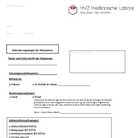 Anforderungsschein Hebammen